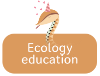 Ecology education