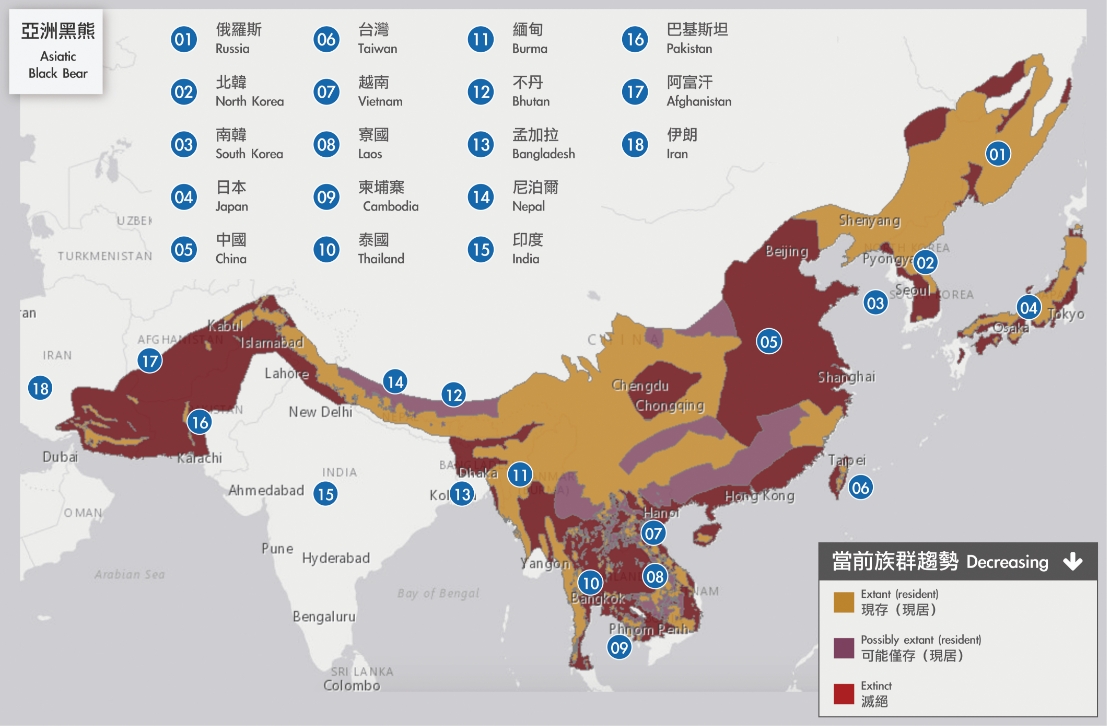亞洲黑熊當前族群趨勢
