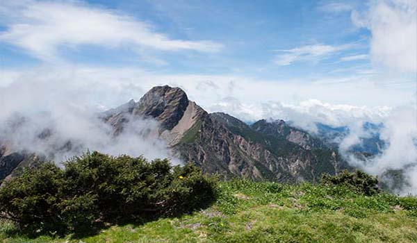 亞高山矮盤灌叢帶