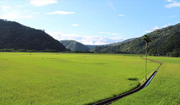 玉山のふもとに広がる最初の農地