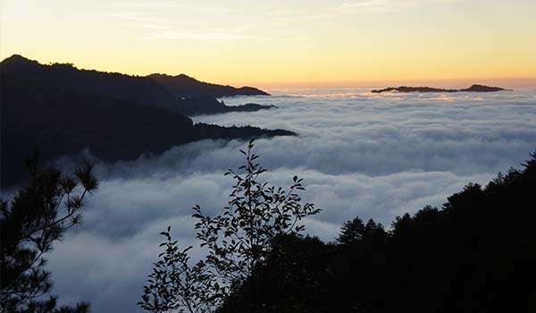 塔塔加雲瀑