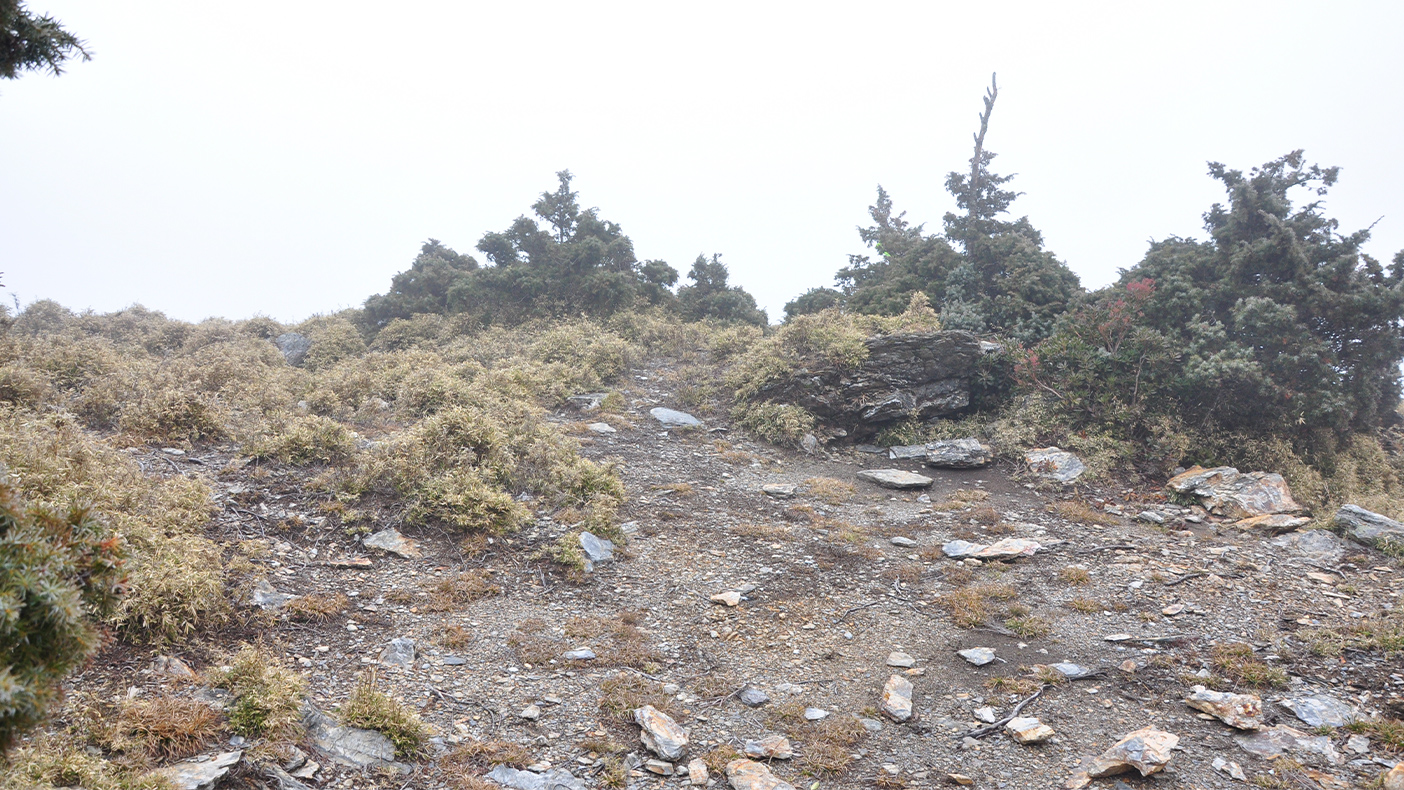 雲峰下三叉營地-1