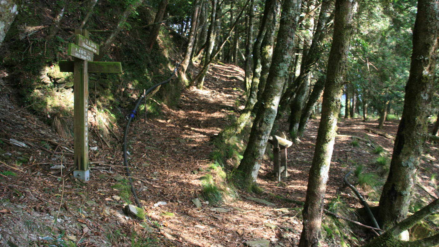 托馬斯營地叉路口