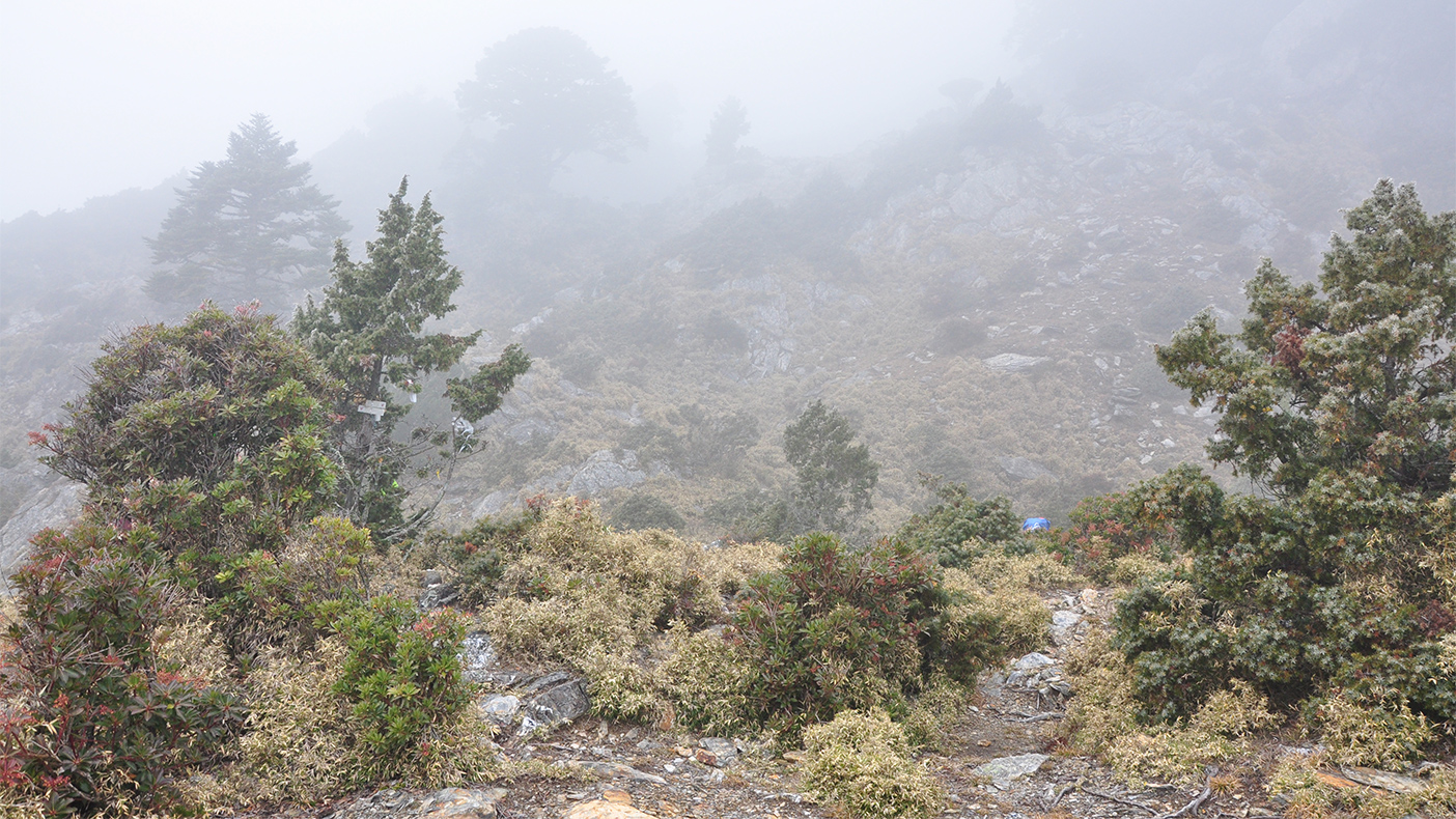 雲峰下三叉營地-2