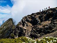 登山情報