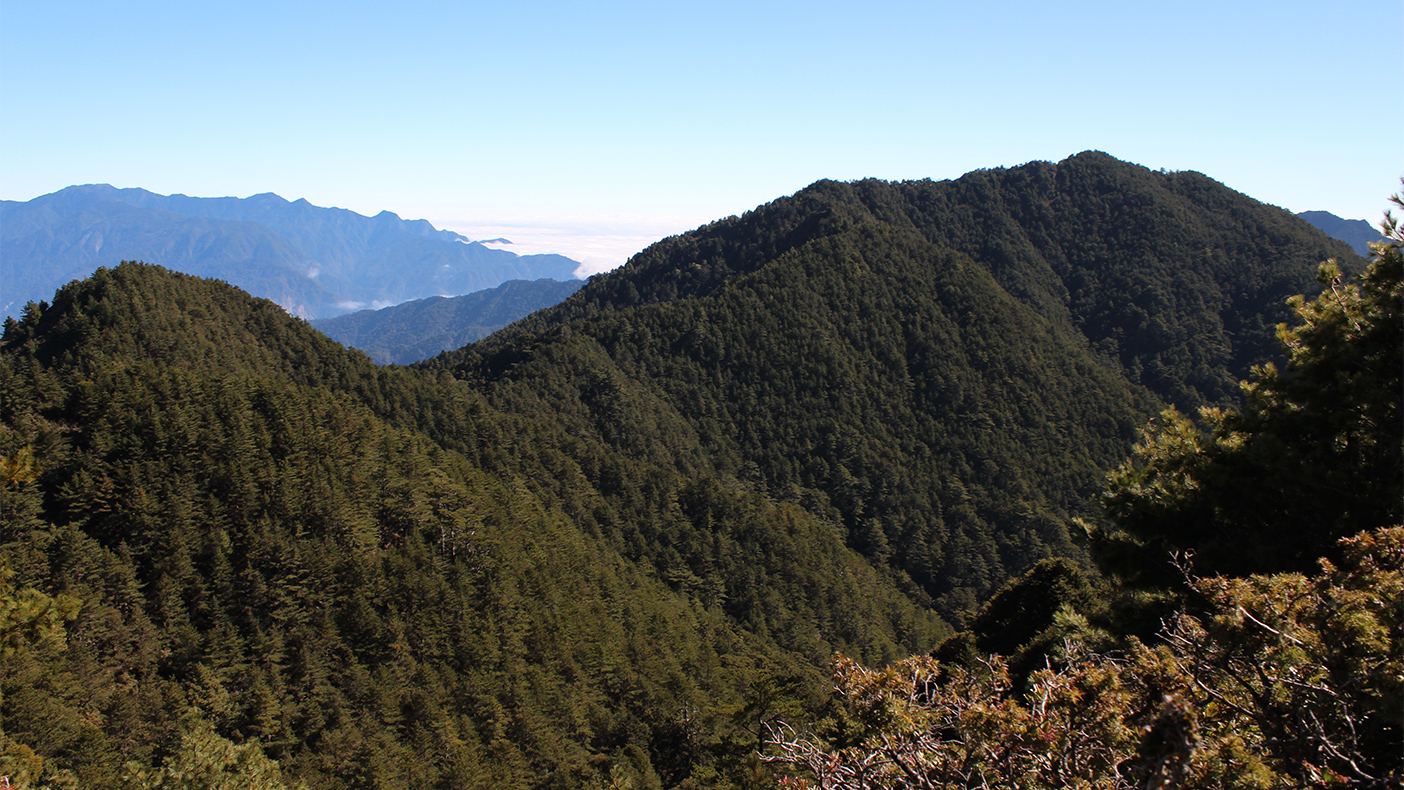 連理山西峰