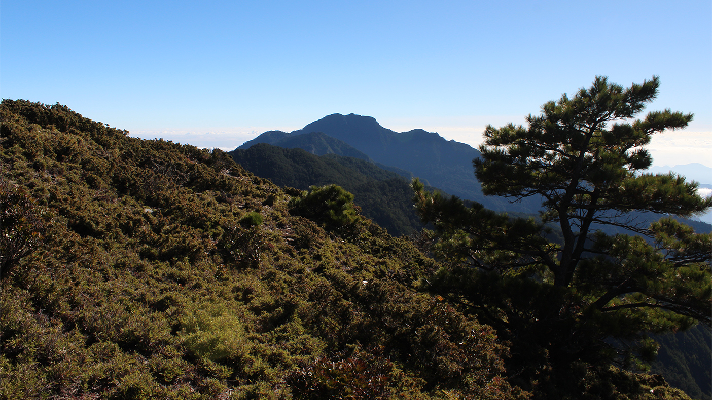 連理山與新仙山與新康山