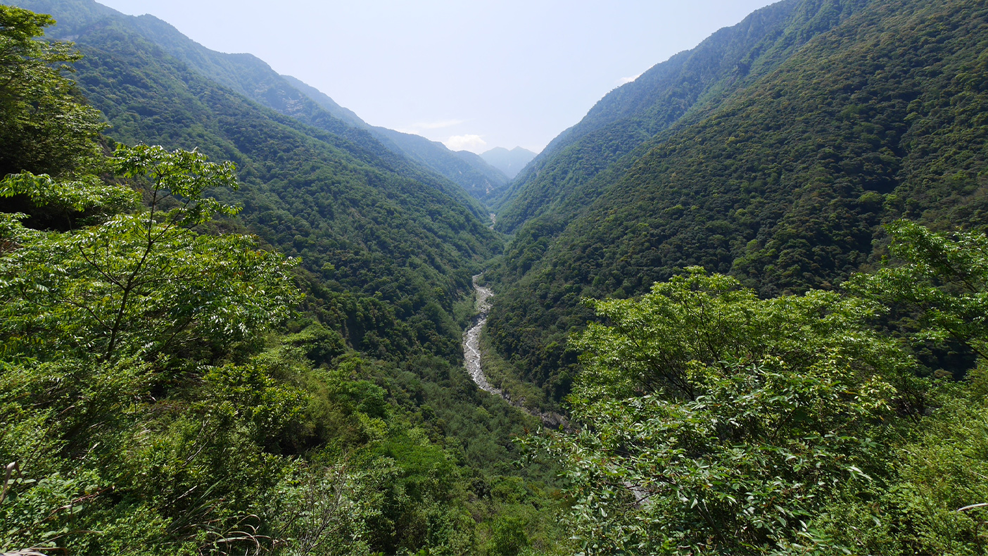 雲龍瀑布步道周邊景色