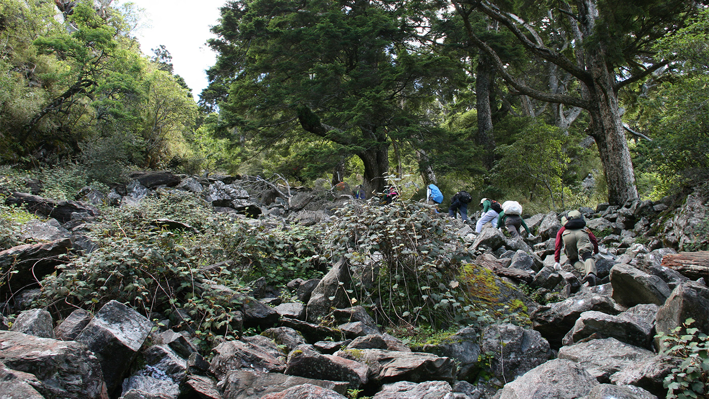 玉山前峰石瀑