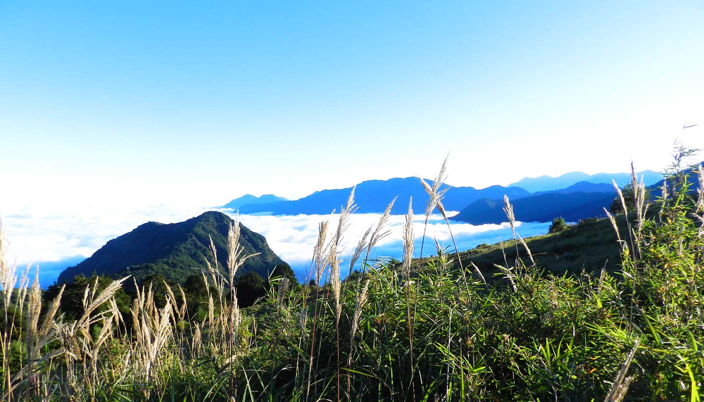 麟趾山步道雲海-印莉敏攝