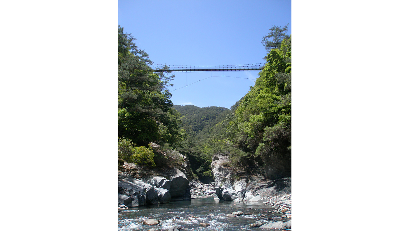 大分吊橋-楊于欣攝