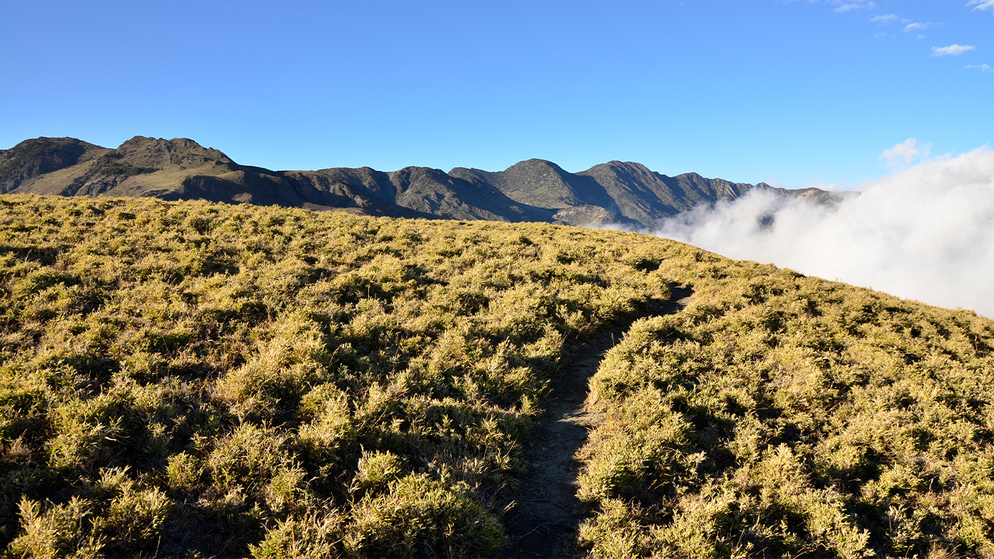 南大水窟山往大水窟山屋