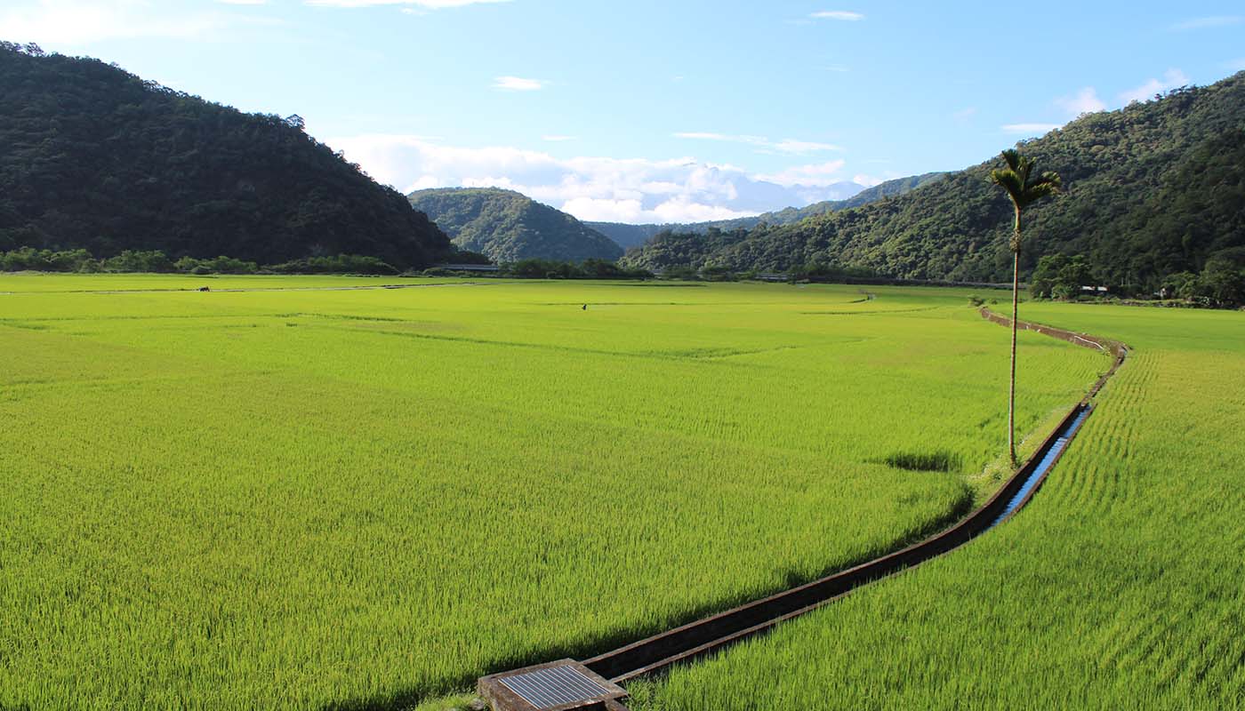 玉山のふもとに広がる最初の農地