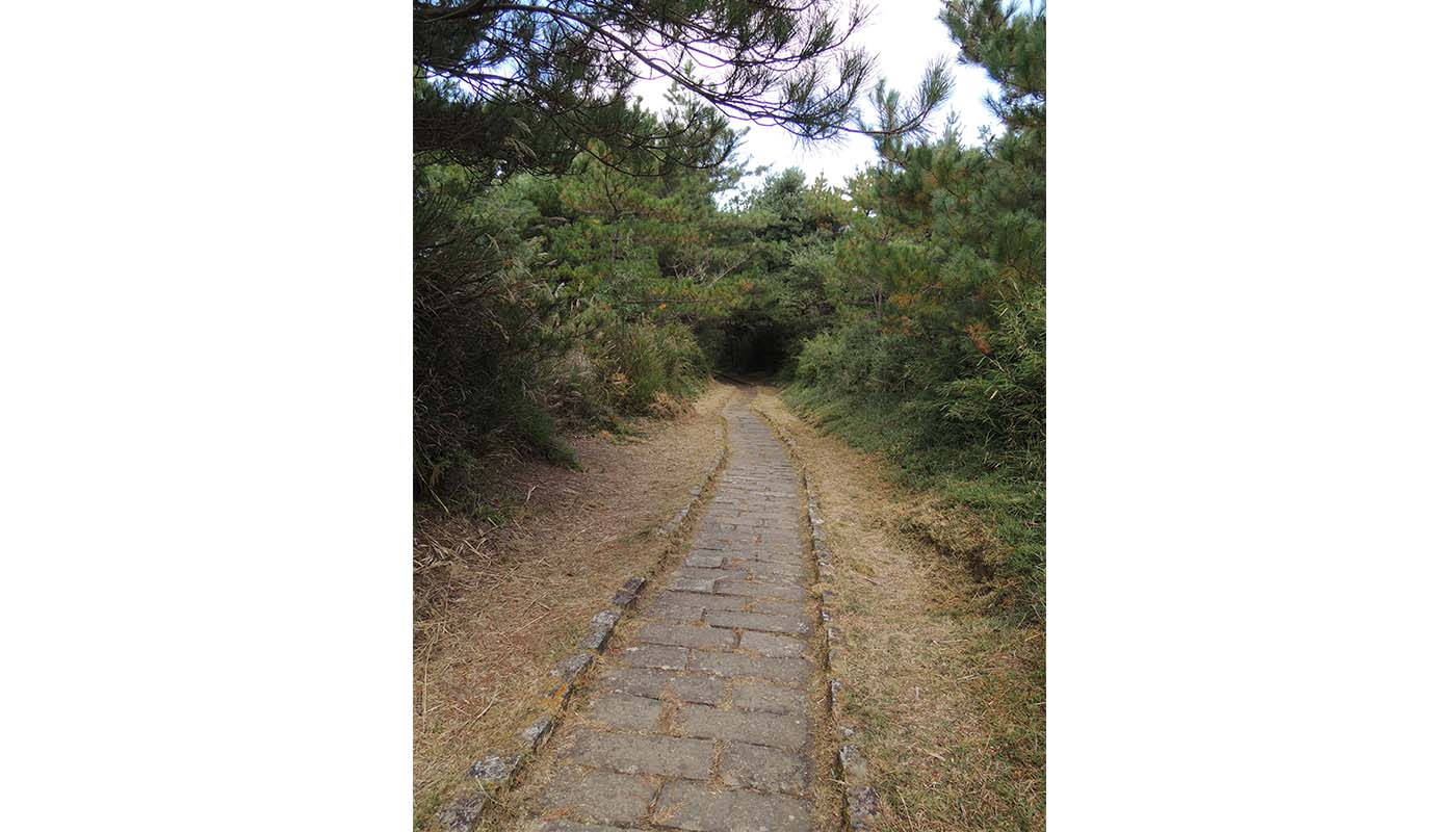 東埔大草原歩道