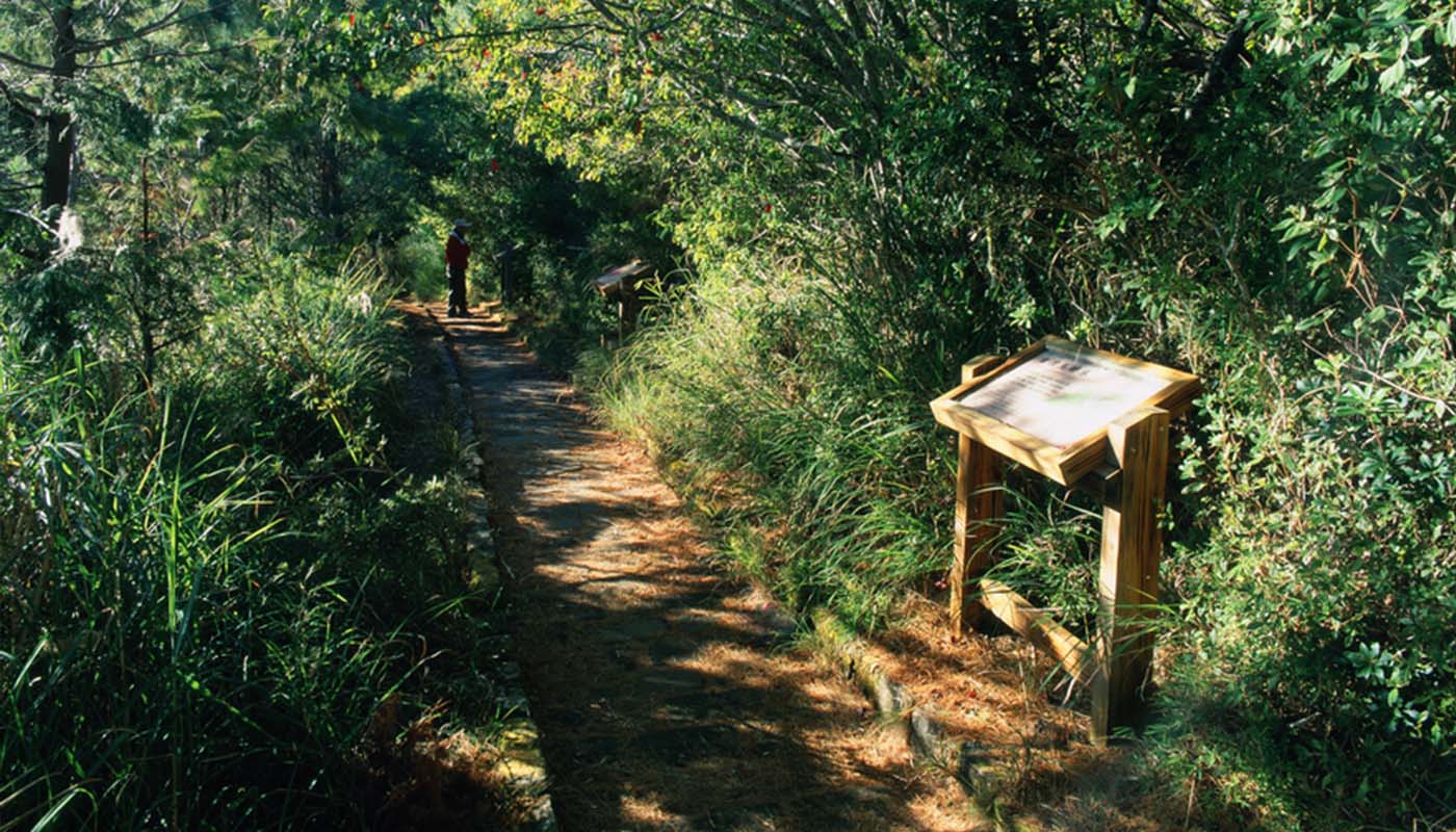 Dongpu Prairie Trail