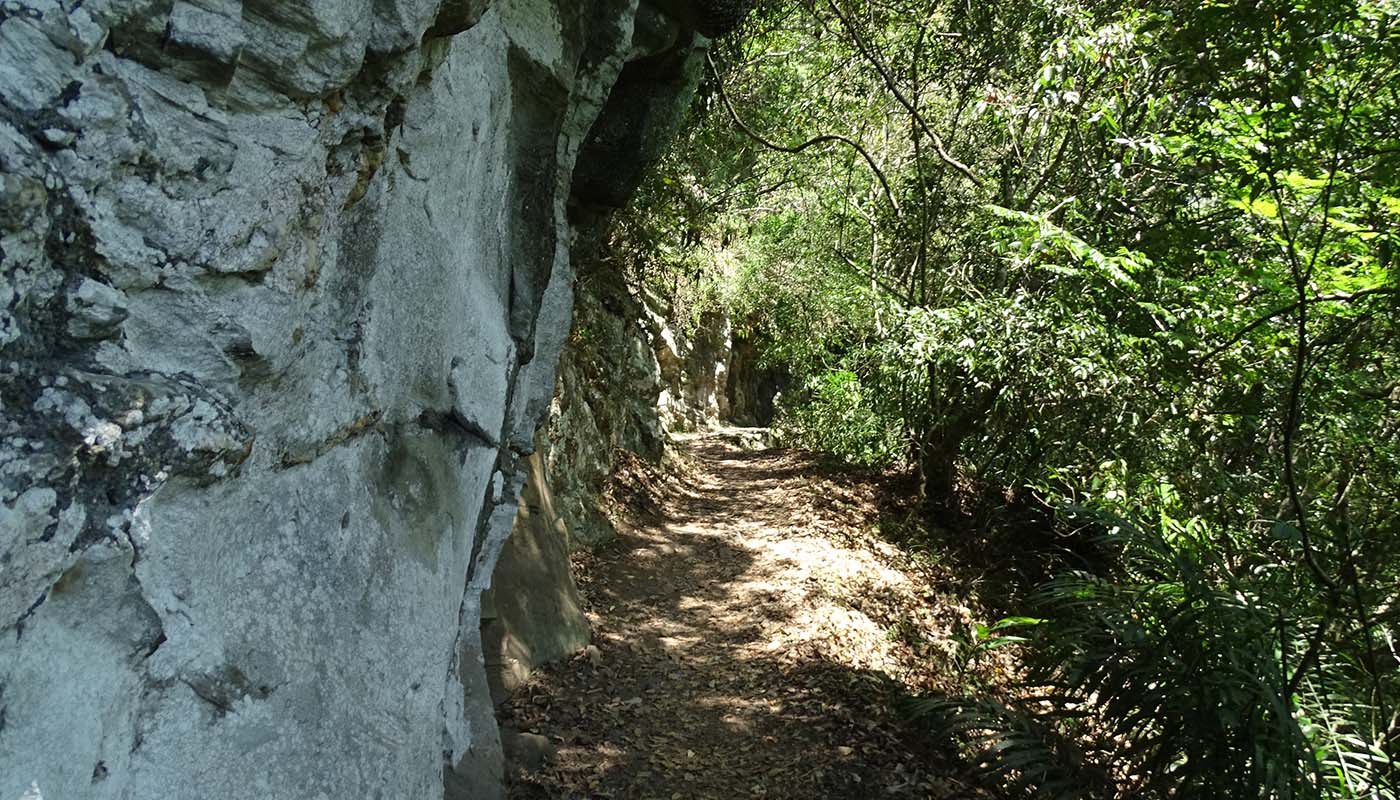 Walami Trail