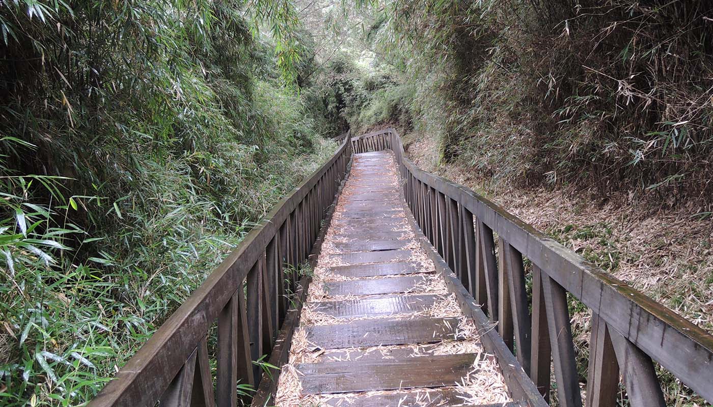 鹿林前山歩道