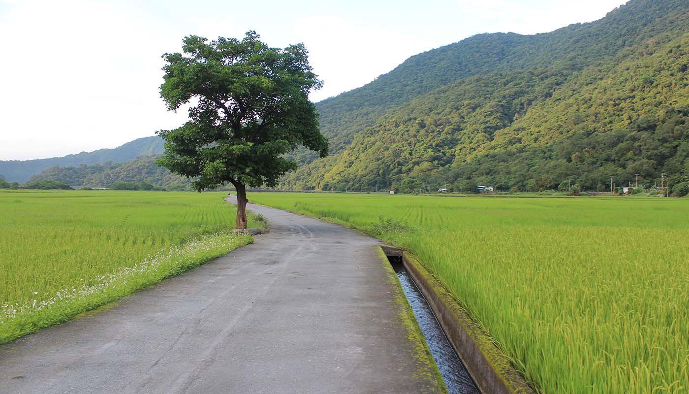 玉山のふもとに広がる最初の農地