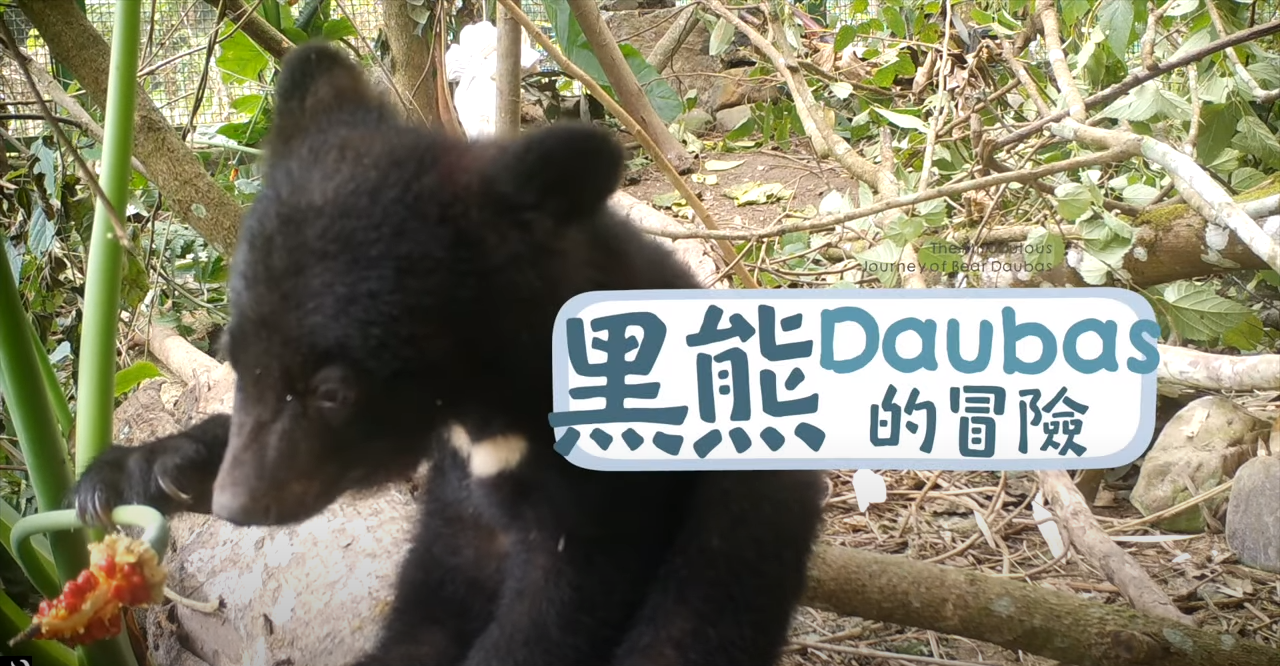 黑熊Daubas的冒險 中文版